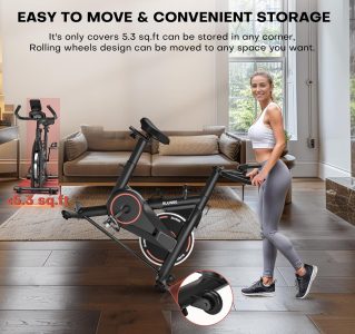 exercise bike, adjustable magnetic resistance stationary bikes for home with app compatible, silent indoor cycling bike with 350lbs weight capacity comfortable seat, digital monitor & phone mount