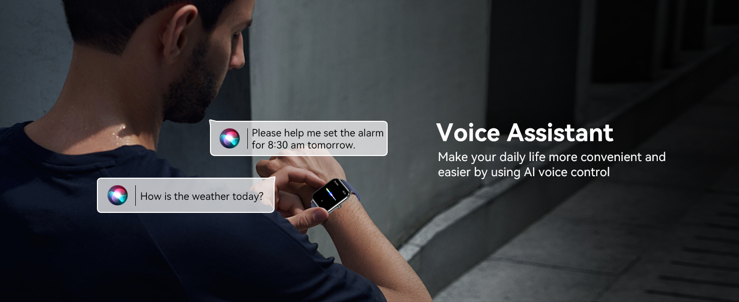 voice assistant